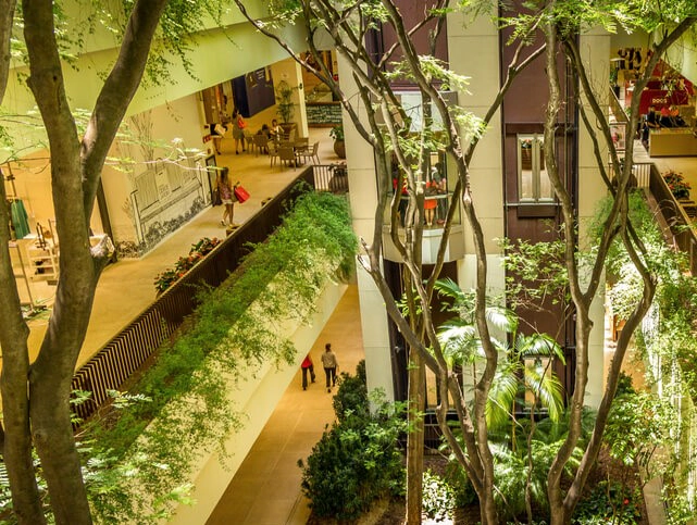 arquitetura regenerativa