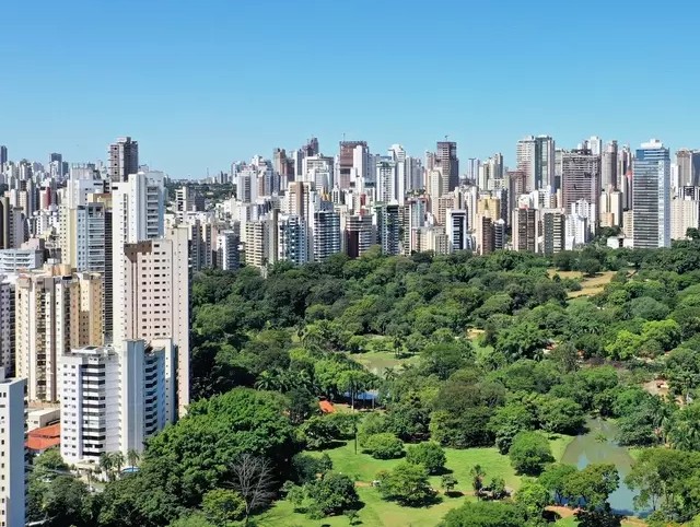 gentrificação verde gentrificação verde