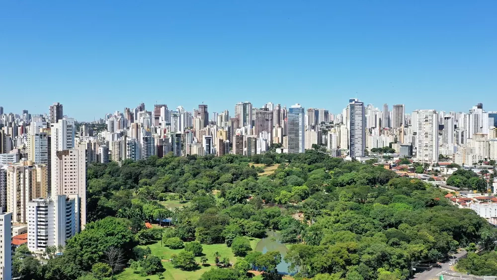 gentrificação verde